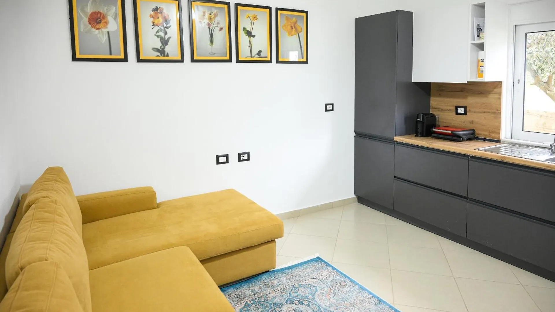 Andris Ylli & Hojza Apartments Saranda Albanie
